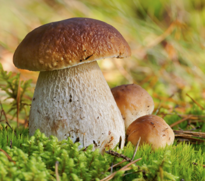 Immagine 2025-05-16 112001